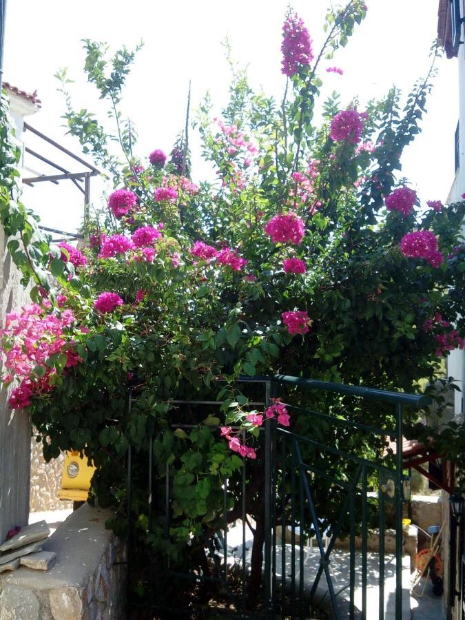 Agistri Sophia'S Apartment Skala  Exterior photo